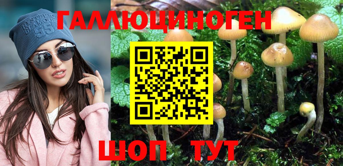 Псилоцибиновые грибы Cubensis  Вход с VPN  магазин    Псилоцибиновые грибы Psilocybine cubensis  Полысаево 